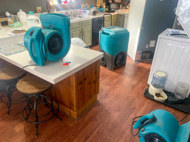 Best Ceiling water damage repair  in Pebble Creek, FL