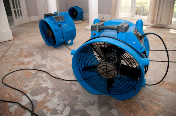 Best 24-hour water damage restoration  in Pebble Creek, FL