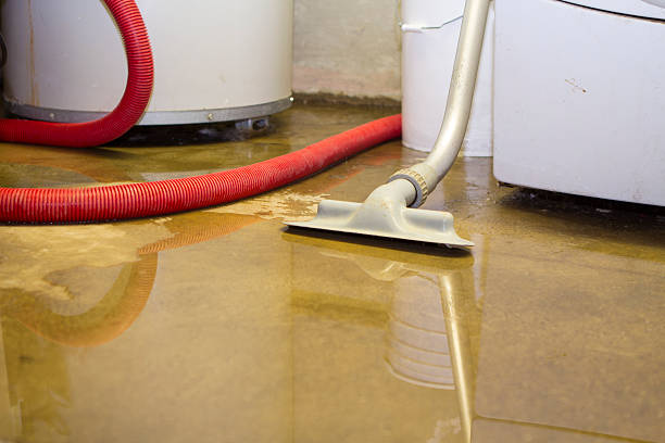 Best Water damage restoration specialists  in Pebble Creek, FL