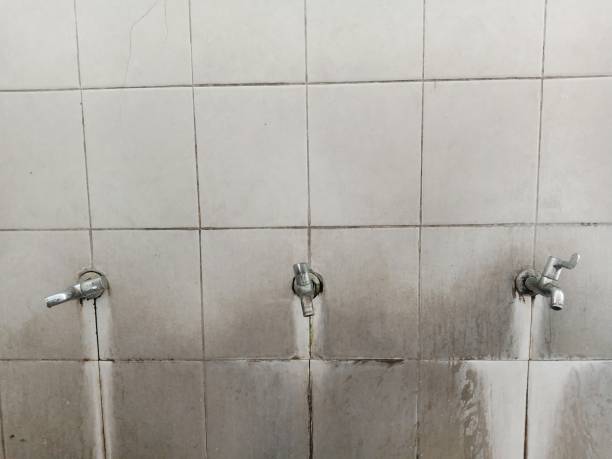 Best Fire Damage Restoration  in Pebble Creek, FL