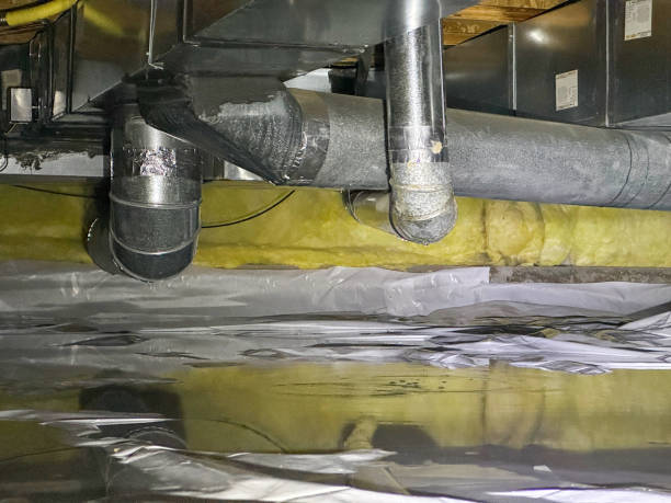Best Local water damage restoration  in Pebble Creek, FL