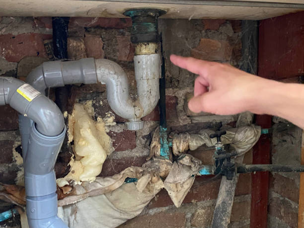 Best Water damage restoration near me  in Pebble Creek, FL