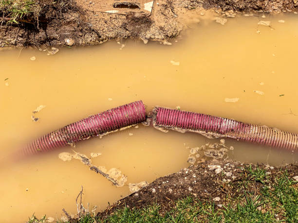 Water damage restoration process in FL